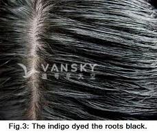 240723144110_Hair-Dyed with indigo-s.jpg